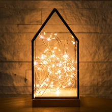 Load image into Gallery viewer, LED String Light